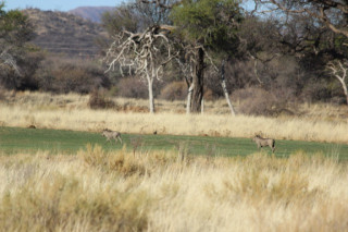 Footer Gallery - Featured Footer Gallery