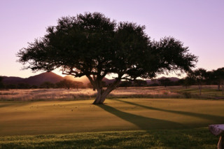 Footer Gallery - Featured Footer Gallery