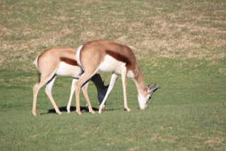 Footer Gallery - Featured Footer Gallery