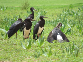 Footer Gallery - Featured Footer Gallery