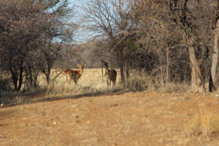 Footer Gallery - Featured Footer Gallery