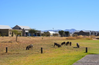 Footer Gallery - Featured Footer Gallery