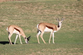 Footer Gallery - Featured Footer Gallery