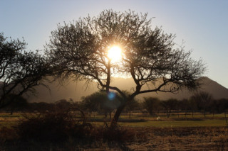 Footer Gallery - Featured Footer Gallery