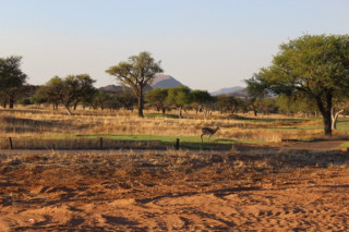 Footer Gallery - Featured Footer Gallery